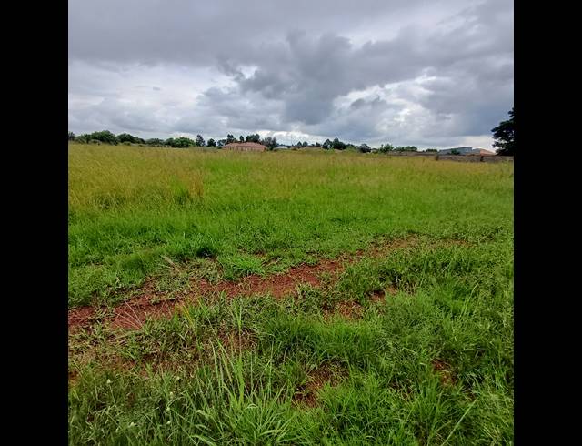 16,170M² VACANT LAND FOR SALE IN KOOKRUS